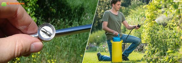  батарея или бензиновый распылитель? Какой выбрать? 