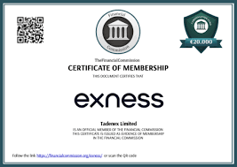 Latest Innovations Updates To The Exness App