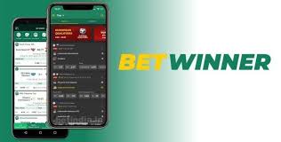 BetWinner User Reviews Insights from Real Players